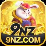 9nz Live Casino Pro
