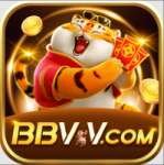 bbvv Premium New